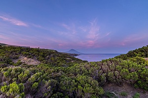 20250622-4247-HDR.jpg