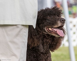 20220615-SW-1220.jpg