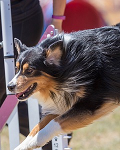 20160618-CCKC-1629.jpg