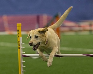 20150321-LEAP-0917.jpg