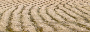 20180707-0136.jpg