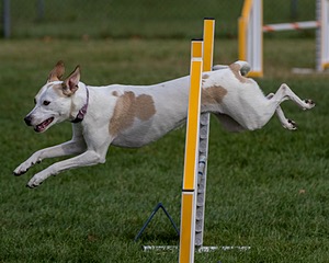 20200819-0284.jpg
