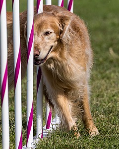 20230916-PVKC-1297.jpg