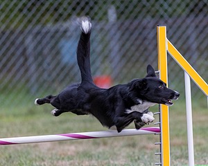 20200819-1903.jpg