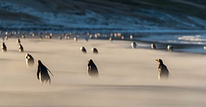 20191209-0928.jpg
