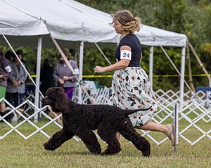 24 - POOLE'S IDE MODERN LOVE CGC (Remi)