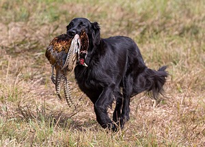 20161008-WCXL-0719-2.jpg