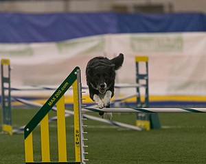 20150321-LEAP-0307.jpg