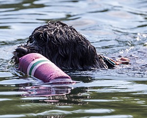 Tessa Ellery