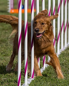 20230916-PVKC-1437.jpg