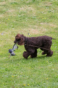 20190512-BD-0034.jpg