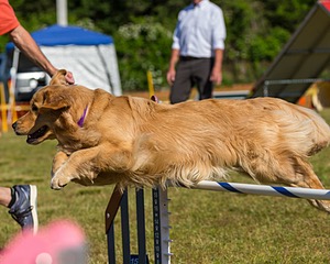 20190615-CCKC-0151.jpg