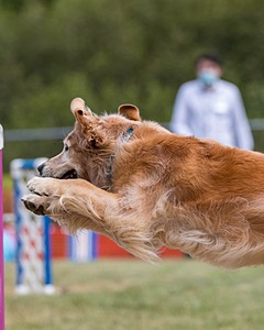 20200819-1389.jpg