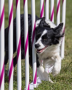 20230916-PVKC-1229.jpg