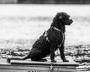 Emma Ratner