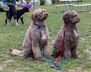 20220911-C-0018.jpg