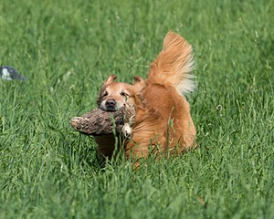 20160604-SEAL-0268.jpg