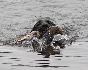 20080531-HRW-1060.jpg