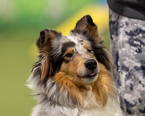 20260221-C-0011.jpg