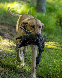 20220604-SHW-2036.jpg