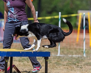 20160619-CCKC-1351.jpg