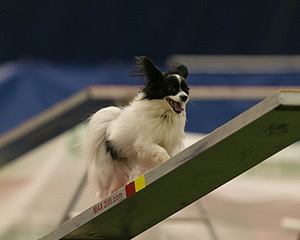 20150321-LEAP-1655.jpg