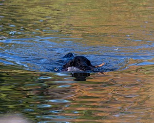 20191005-WCW-0013.jpg