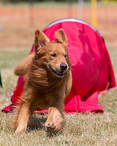 20150613-CCKC-0084.jpg
