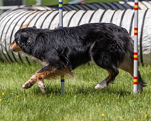 20170520-NEAT-1501.jpg