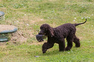 20190512-BD-0113.jpg