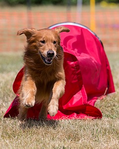 20150613-CCKC-0083.jpg