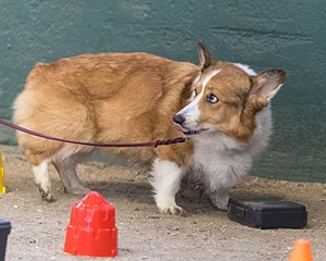 20260718-NSKC-0668.jpg