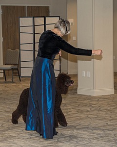 20190514-TEN-0097.jpg