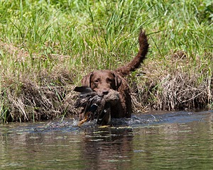 20130602-SEAW-0525.jpg