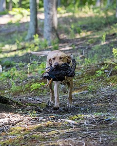 20220604-SHW-1962.jpg