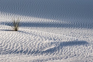 20151209-0087.jpg