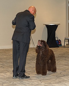20190514-TEN-0099.jpg
