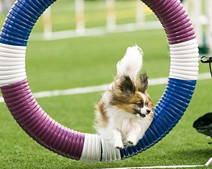 20150322-LEAP-0070.jpg
