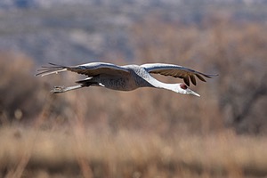 20151206-1983.jpg