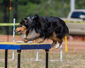 20160619-CCKC-1623.jpg