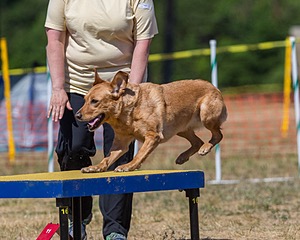 20160619-CCKC-1465.jpg