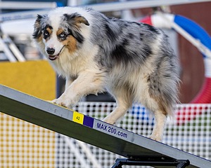 20230916-PVKC-1724.jpg