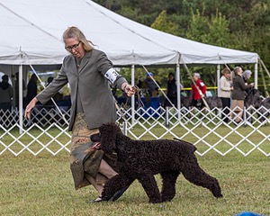 33 - WATERFORD'S PAUSE FOR INNER PEACE (Pause)