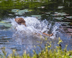 20210606-SEAW-1149.jpg