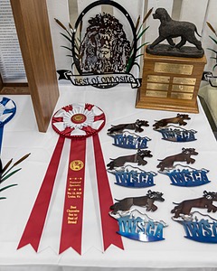 20190515-C-0010.jpg