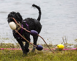 Chica Medeiros