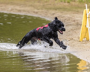 Swizzle Kennedy