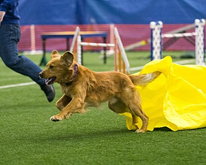 20150322-LEAP-0622.jpg