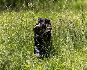 Parker Ogeka