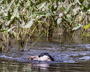 20230805-SHW-0005.jpg